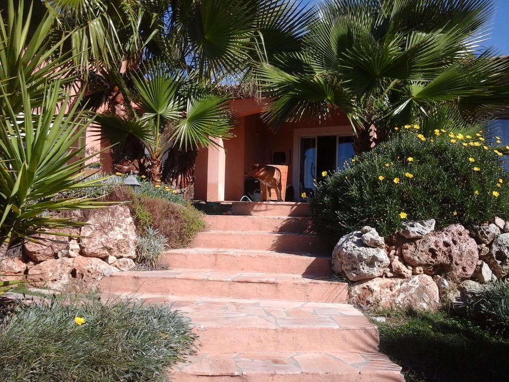 Mas Des Lys Hotel Roquebrune-sur-Argens Buitenkant foto
