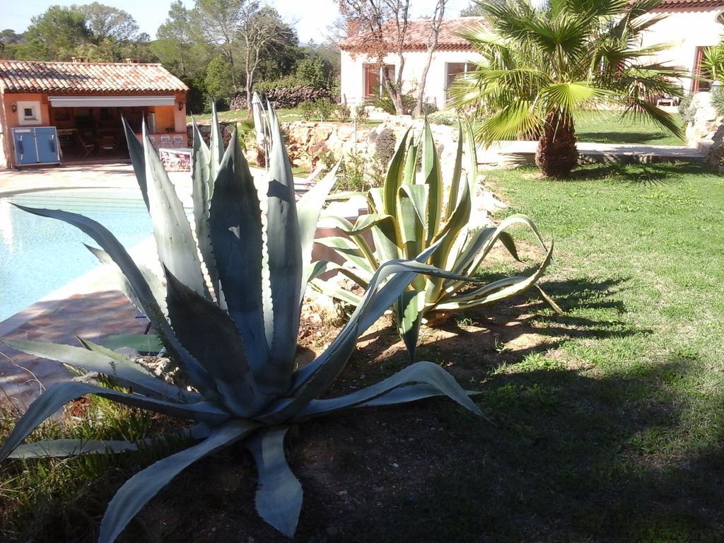 Mas Des Lys Hotel Roquebrune-sur-Argens Buitenkant foto